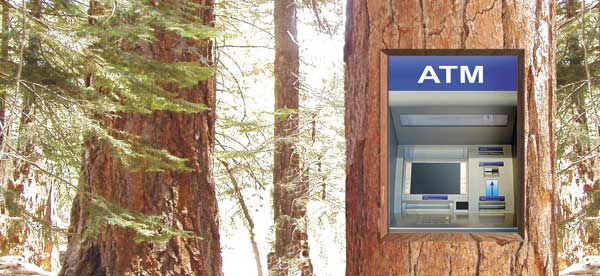 a_tree_m                